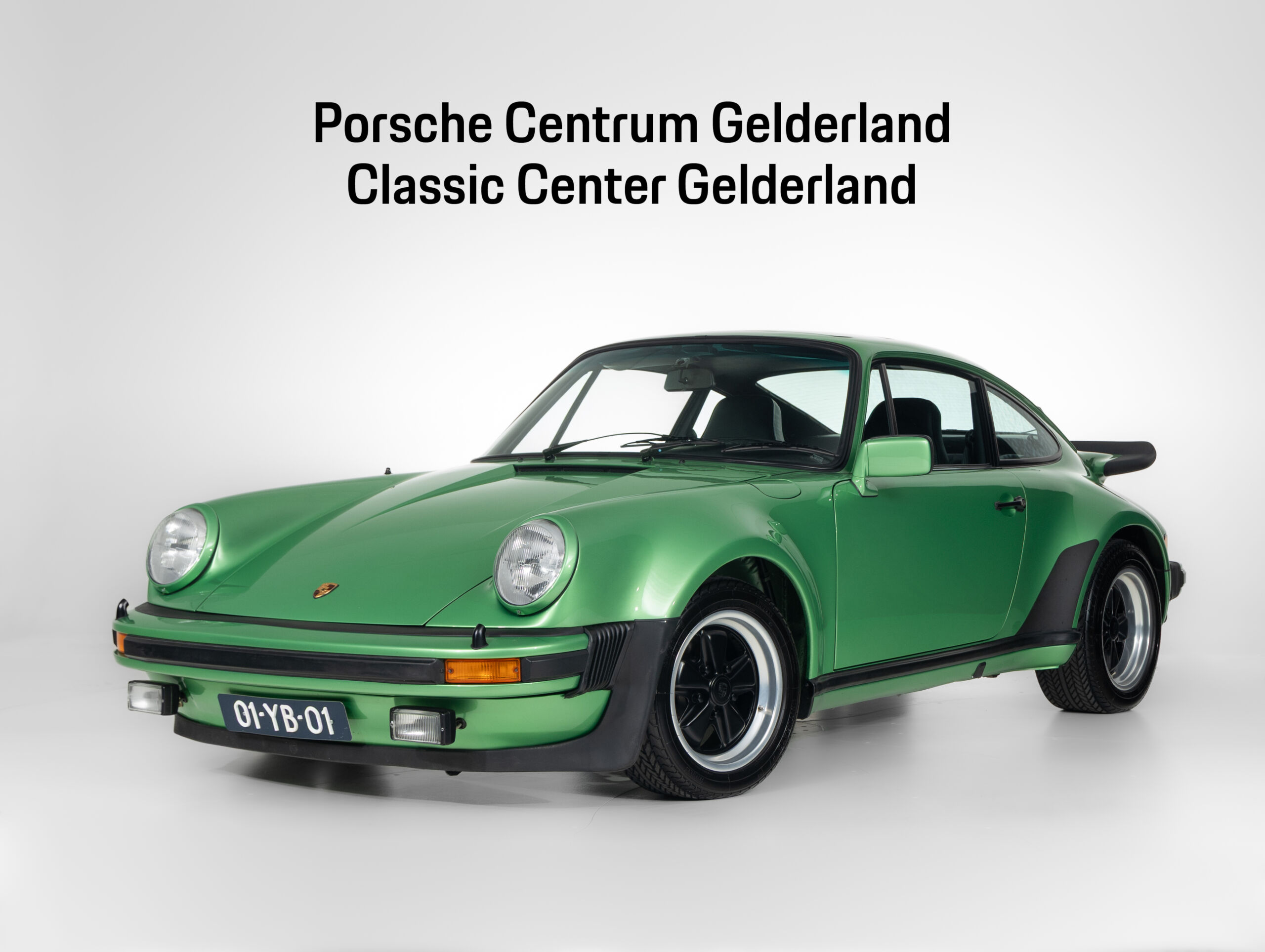 Porsche in Viper Green Metallic L96N - Color Overview - elferspot