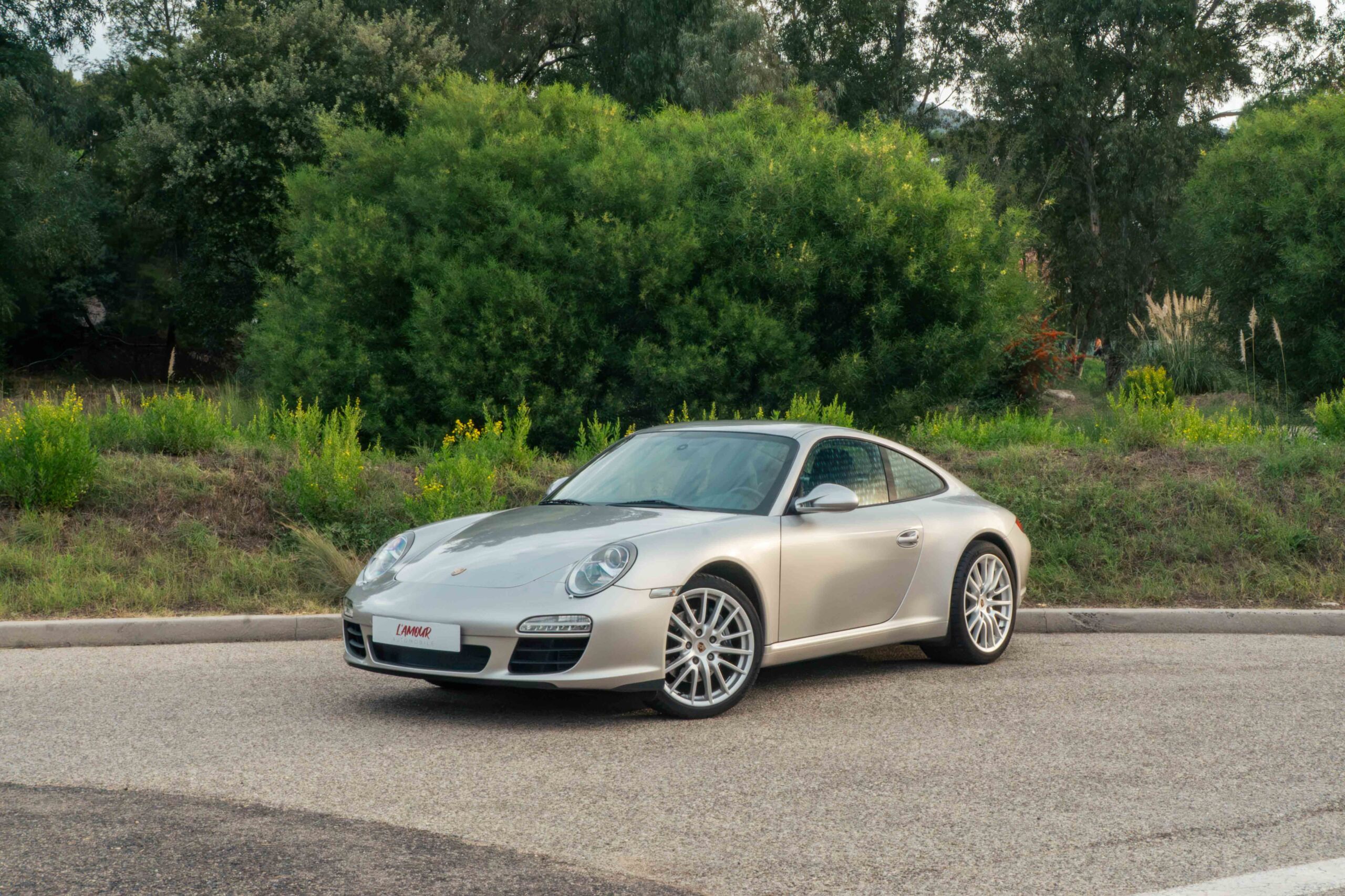 Porsche in Arctic Grey Z93 - Color Overview - elferspot.com